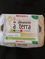 Uova fresche da allevamento a terra L