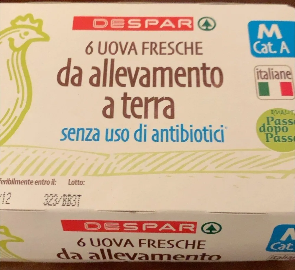 Uova da allevamento a terra