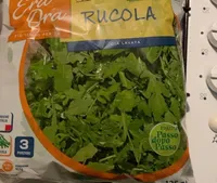 Rucola