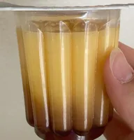 dessert al caramello