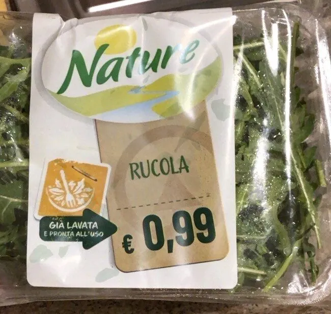 Rucola
