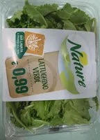 Lattughino verde