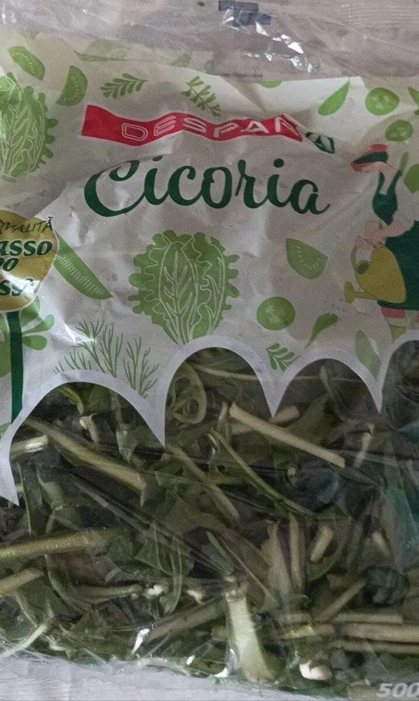 cicoria