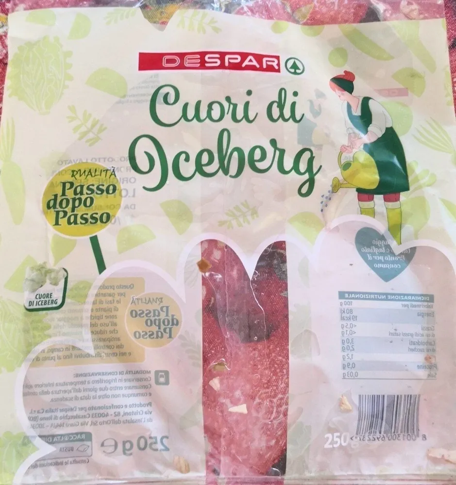 Cuori di Iceberg