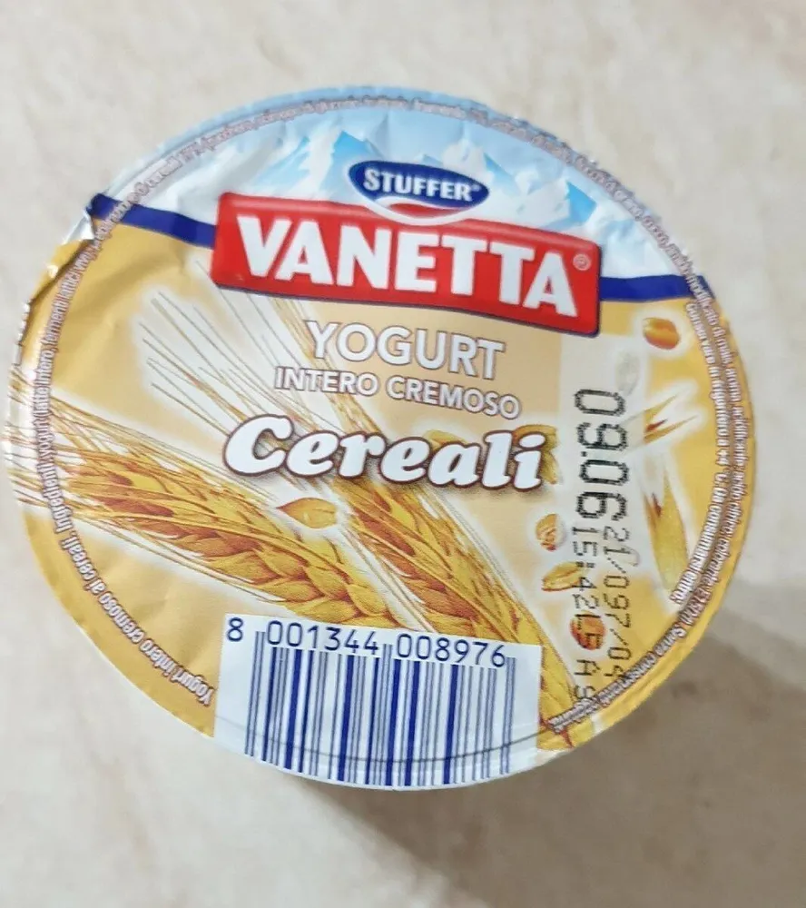 Yogurt