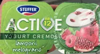 Yogurt cremoso lamponi melograno