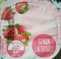 Yogurt Magro