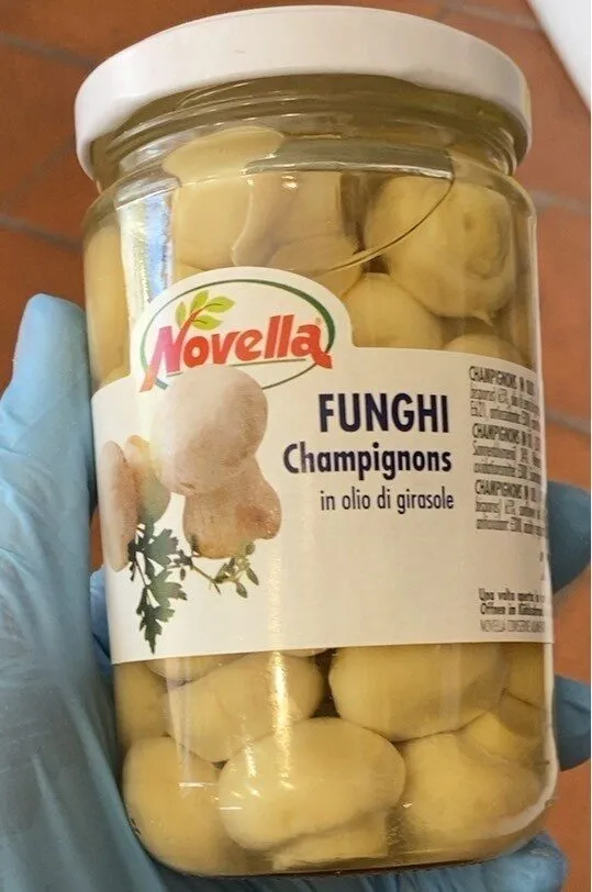 Funghi champignons