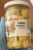 Funghi champignons