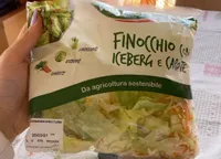 finocchio con iceberg e carote