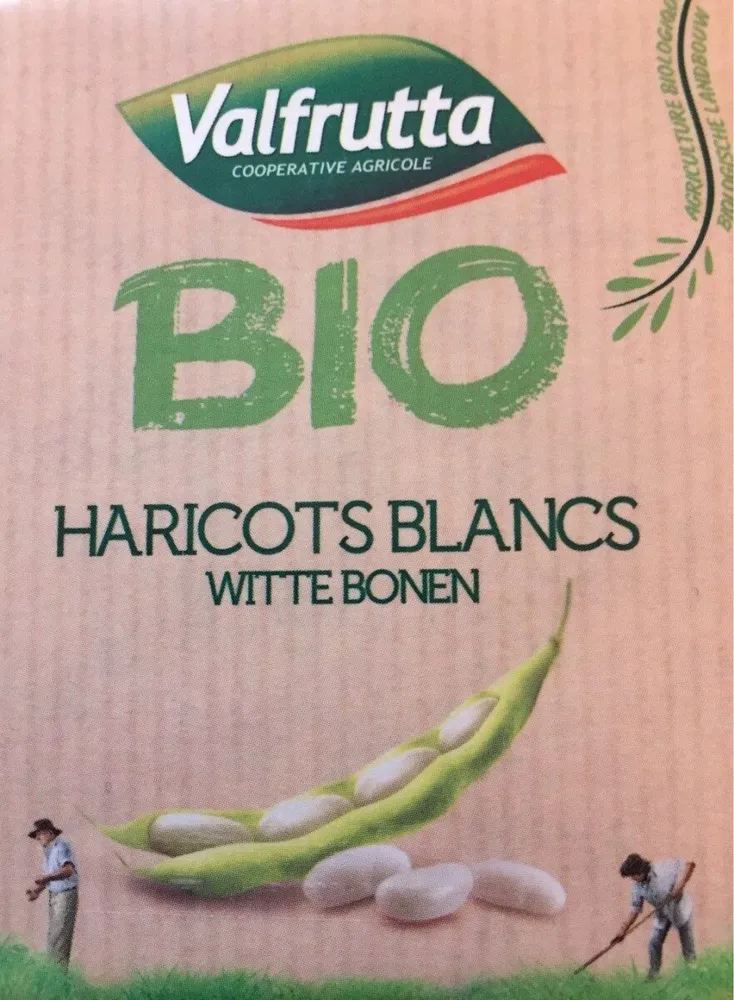 Haricots Blancs