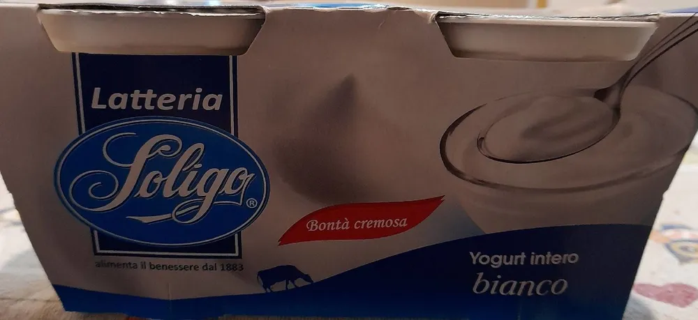 Yogurt intero bianco