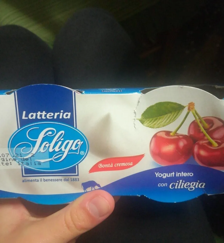 Yogurt intero