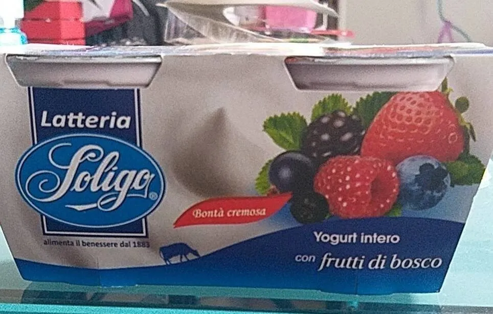 Yogurt intero Frutti di Bosco