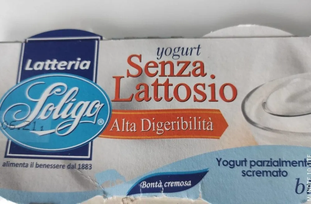 Yogurt senza lattosio