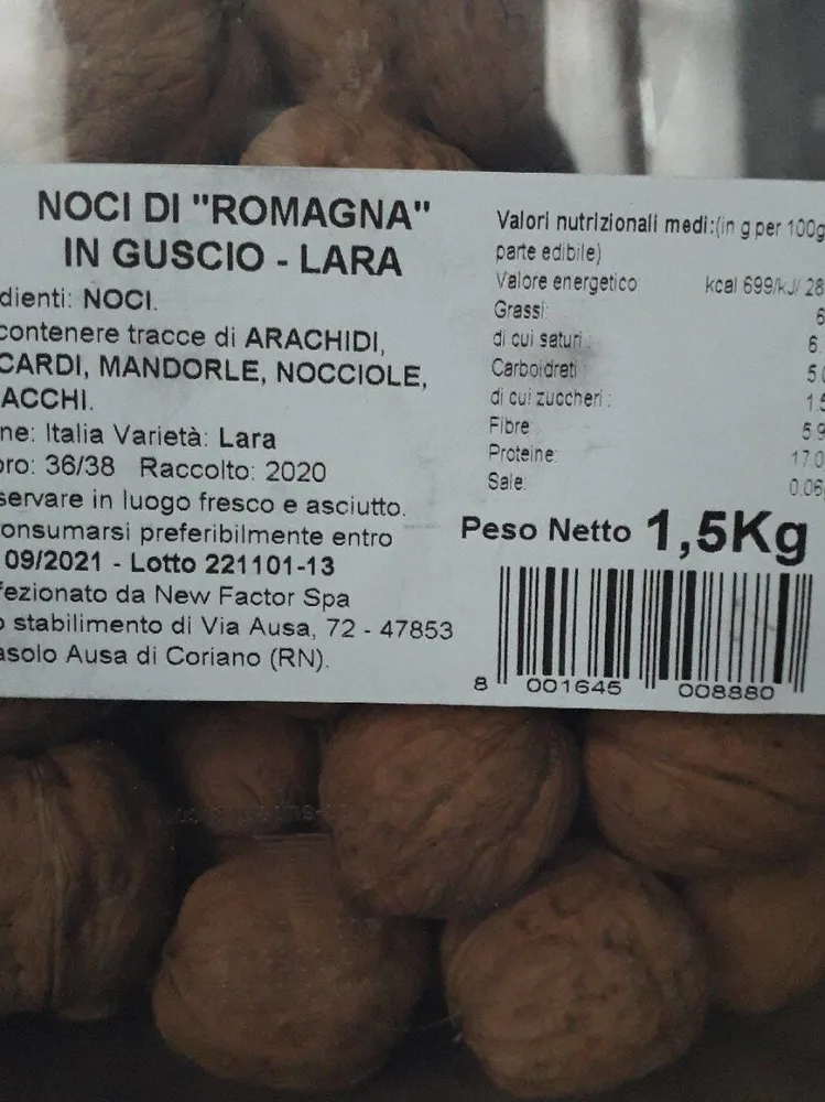 Noci di Romagna in guscio