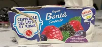 Yogurt Bontà Centrale