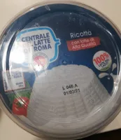 Ricotta
