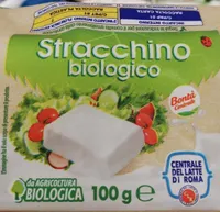 Stracchino biologico