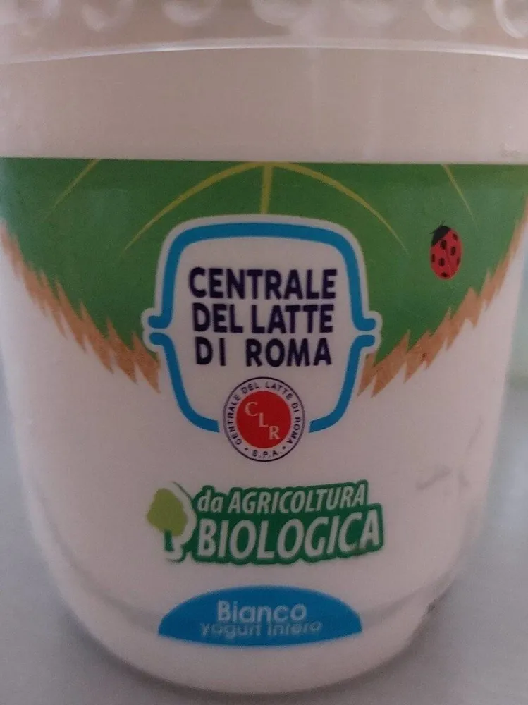 Yogurt bianco intero