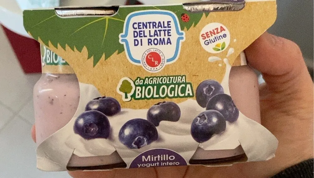Yogurt mirtillo