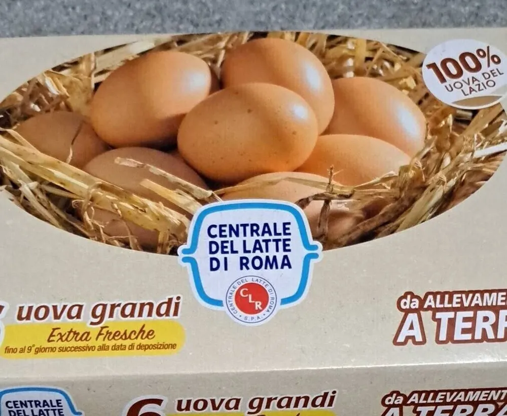 Uova Grandi