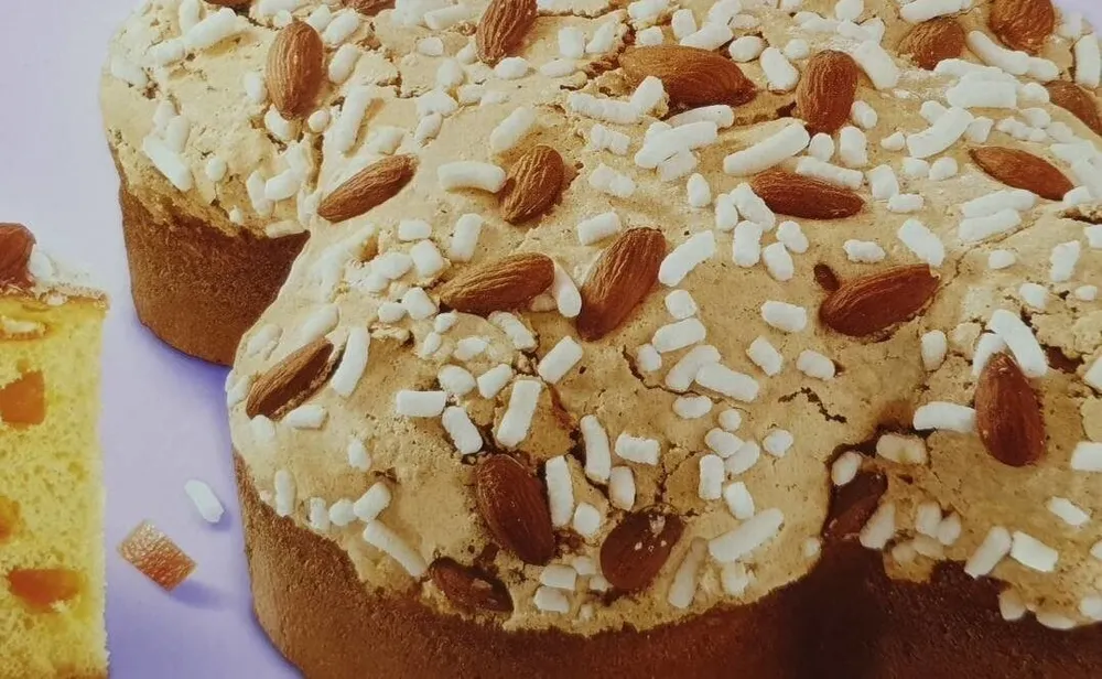 Colomba classica
