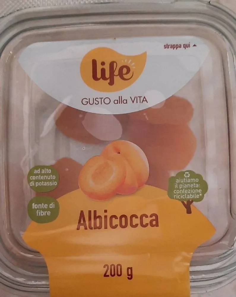Albicocca