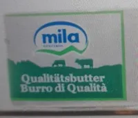 Burro
