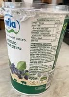 Yogurt mila ai mirtilli