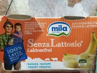 Yogurt senza lattosio