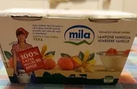 Yoghurt Lampone Vaniglia