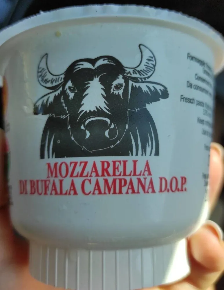 Mozzarella di bufala campana