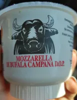 Mozzarella di bufala campana