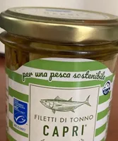 Filetto di tonno