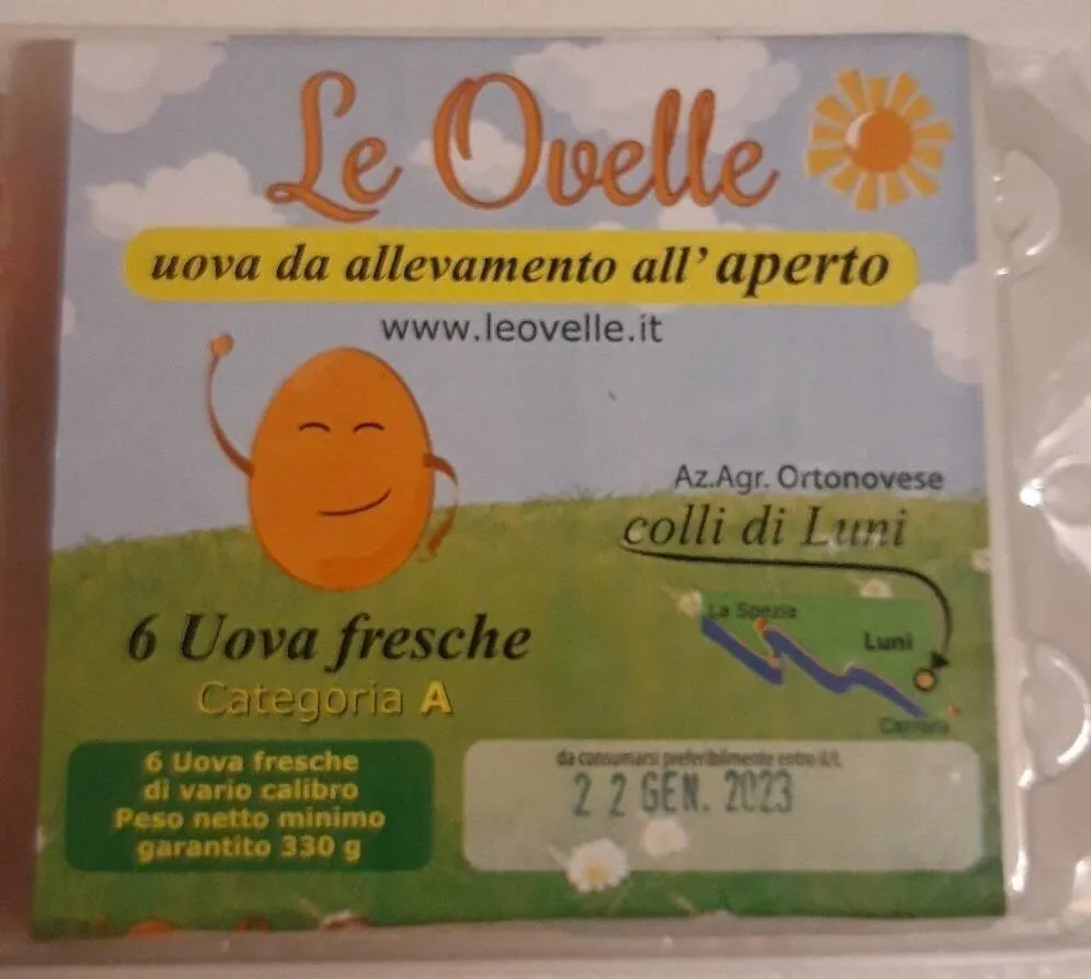 Uova
