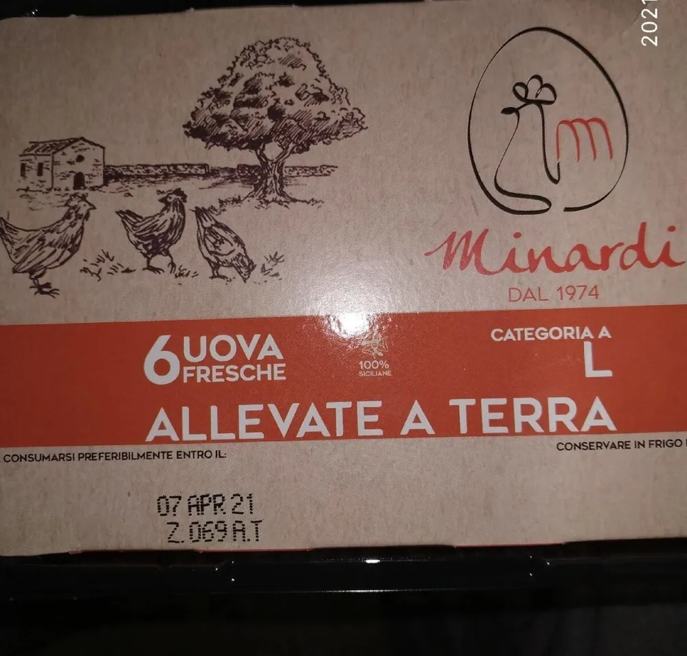 Uova allevate a terra