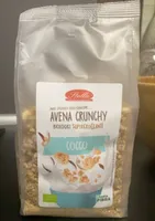 Avena crunchy cocco biologico
