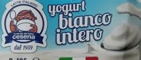 Yogurt bianco intero