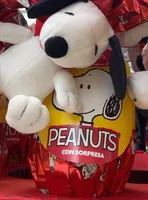 Uovo di pasqua peanuts