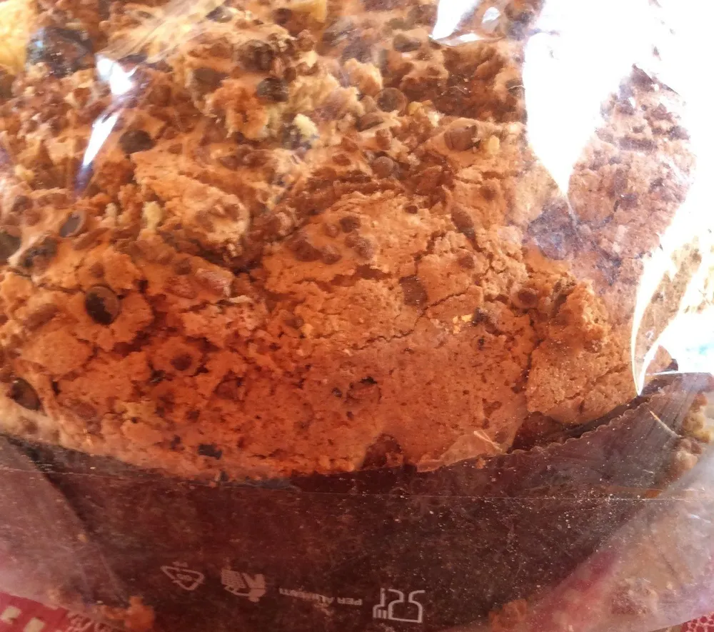 Panettone chocolat et raisin sec