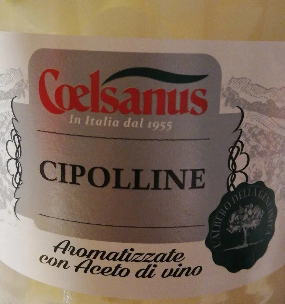 Cipolline