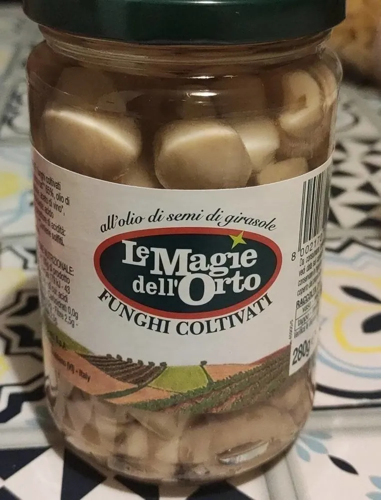 Funghi coltivati
