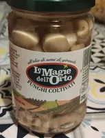 Funghi coltivati
