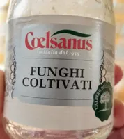 Funghi coltivati
