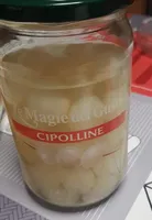 Cipolline