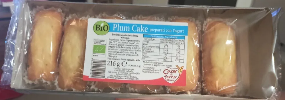 Plum Cake Yogurt