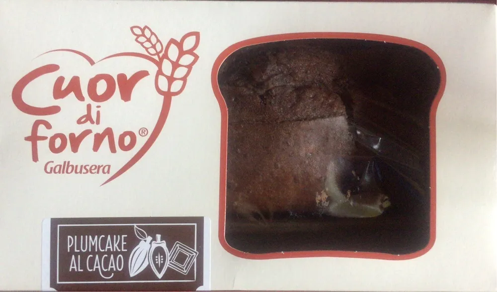 Plumcake al cacao