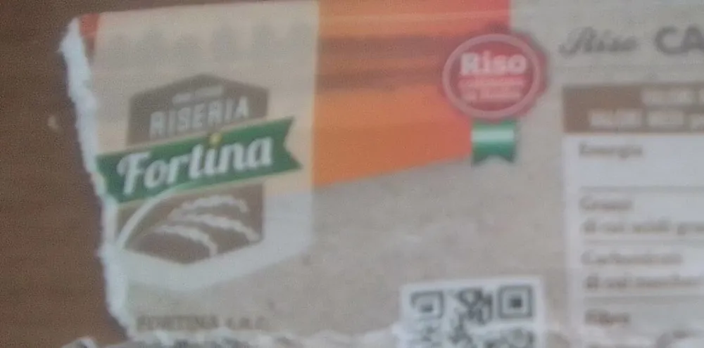 Riseria fortina