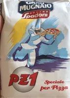 PZ1
